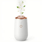 Ca/Home Dotta Aromatheraphy 161 Sq.Ft