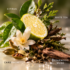 #No.03｜White Tea ｜Clean Woody Citrus · Pure & Timeless